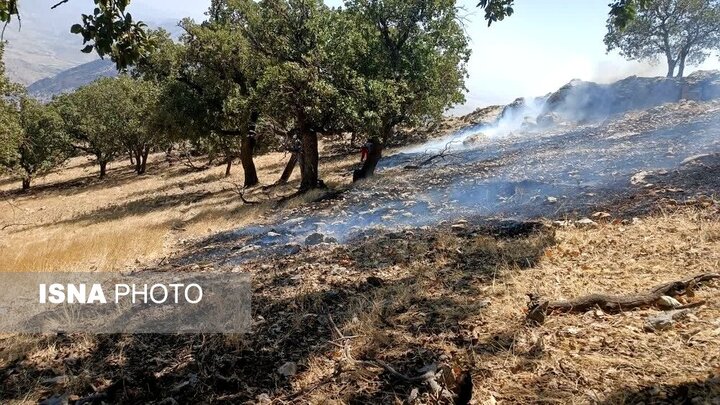 مهار شدن آتش‌سوزی در پارک ملی سالوک