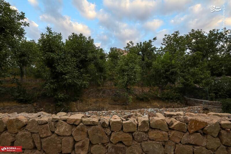 تصاویر باورنکردنی از روستای وشتکان دلیجان