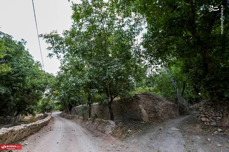 تصاویر باورنکردنی از روستای وشتکان دلیجان