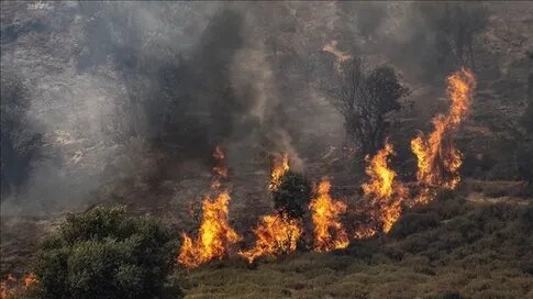 موضع مقاومت در تداوم پشتیبانی از غزه ثابت است