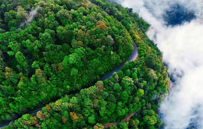 (تصاویر) زیباترین جاده‌های پاییزی ایران برای عاشقان رانندگی، جاده و سفر