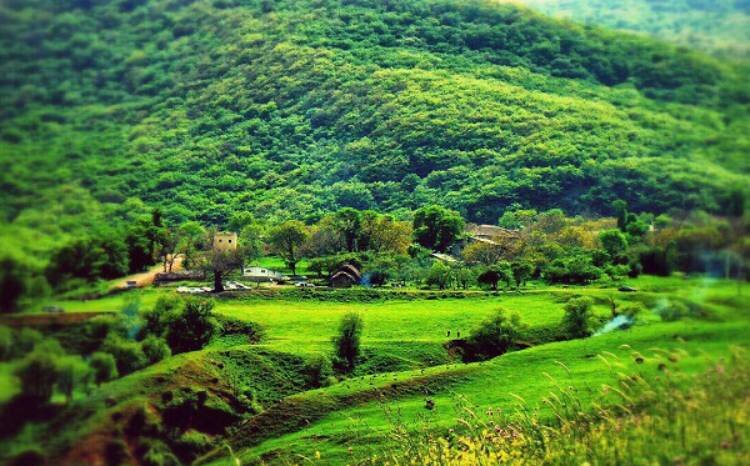 روستای افجه