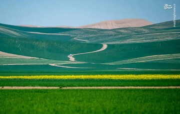 تصویر حیرت انگیز از طبیعت دیدنی ترکمن صحرا در گلستان