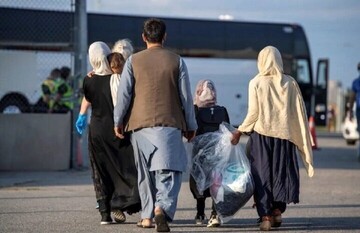 بیش از ۴۰ درصد اتباع خارجی در کشور غیرمجاز هستند