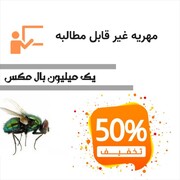 مهریه های عجیبی که مطالبه می کنند!