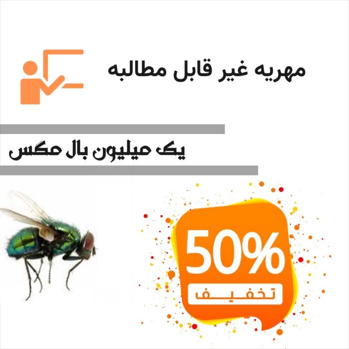 مهریه های عجیبی که مطالبه می کنند!