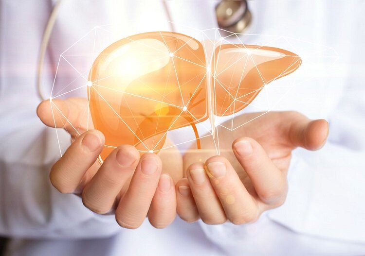 بیماری کبد چرب؛ علائم، علل و راههای درمان آن