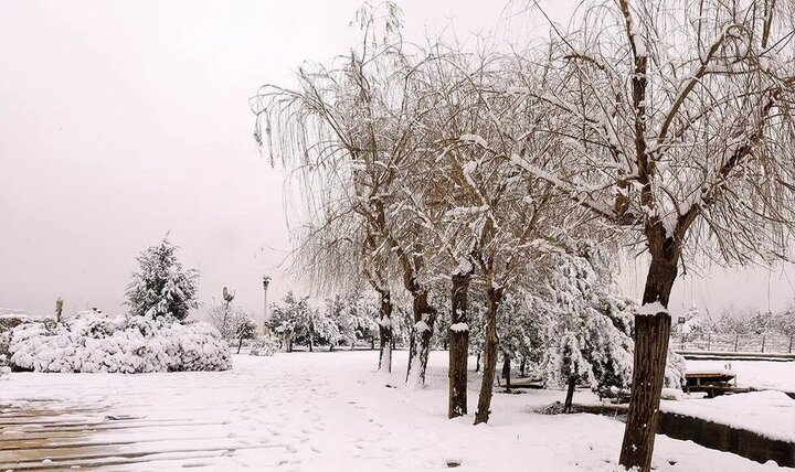 بارش برف در ایران از این تاریخ + هشدار سطح نارنجی برای کشور