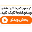 امیرمحمد زند: من برادر الناز شاکردوست نیستم