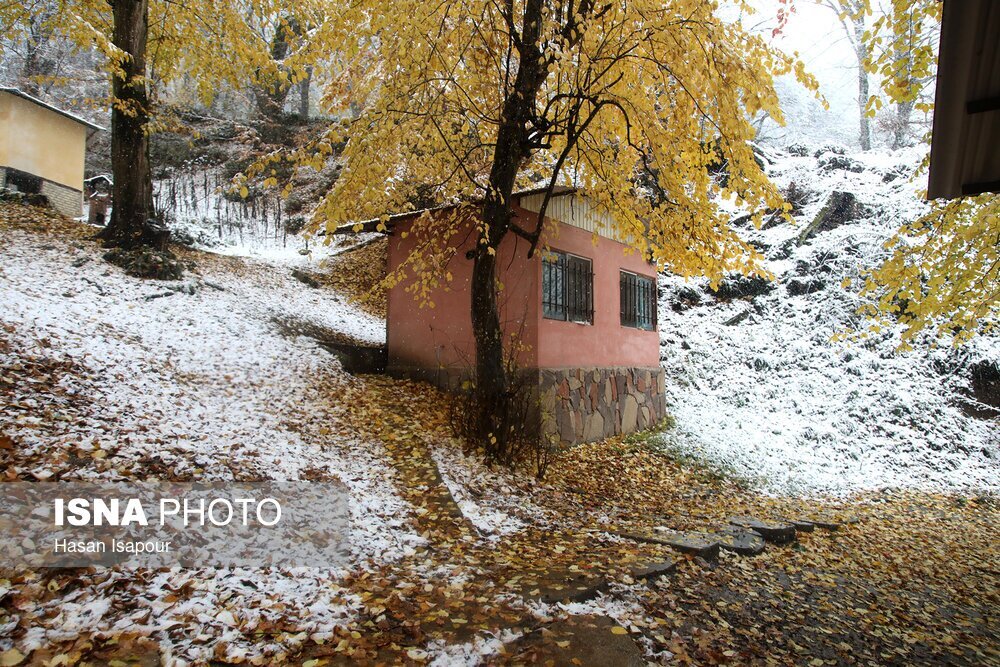 سفیدپوش شدن منطقه سوادکوه درپی بارش برف + عکس های دیدنی