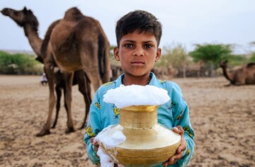 خواص باورنکردنی نوشیدن شیر شتر