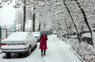 بارش برف زیبا در تهران + فیلم