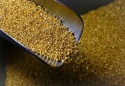 سقوط قیمت جدید طلا