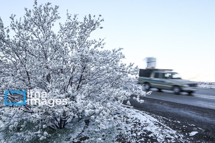 بارش برف عجیب بهاری در کردستان + گزارش تصویری