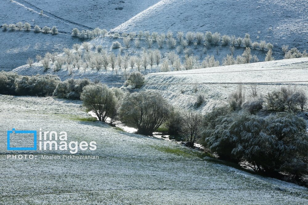 بارش برف عجیب بهاری در کردستان + گزارش تصویری