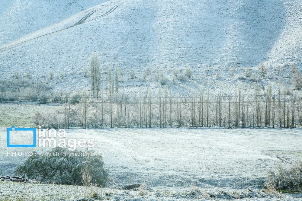 بارش برف عجیب بهاری در کردستان + گزارش تصویری