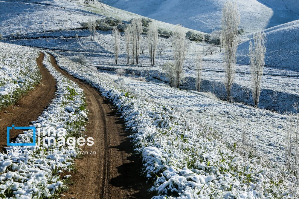 بارش برف عجیب بهاری در کردستان + گزارش تصویری