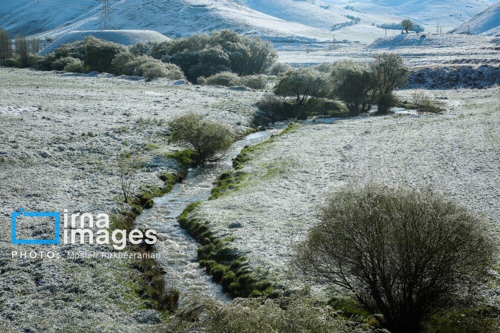 بارش برف عجیب بهاری در کردستان + گزارش تصویری