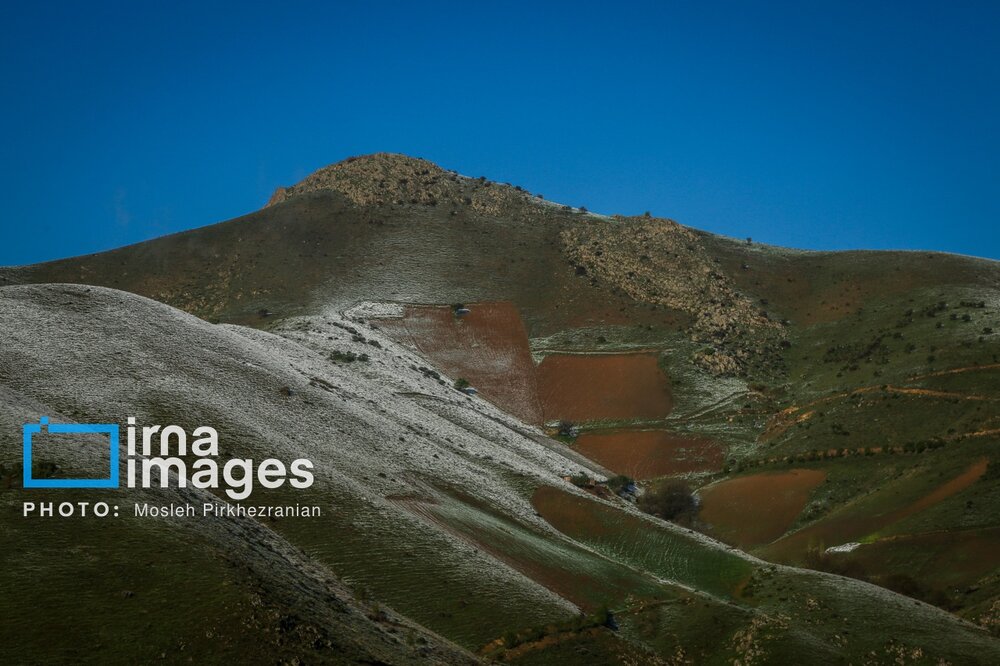 بارش برف عجیب بهاری در کردستان + گزارش تصویری