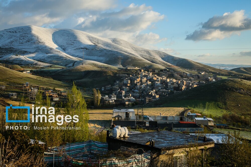 بارش برف عجیب بهاری در کردستان + گزارش تصویری