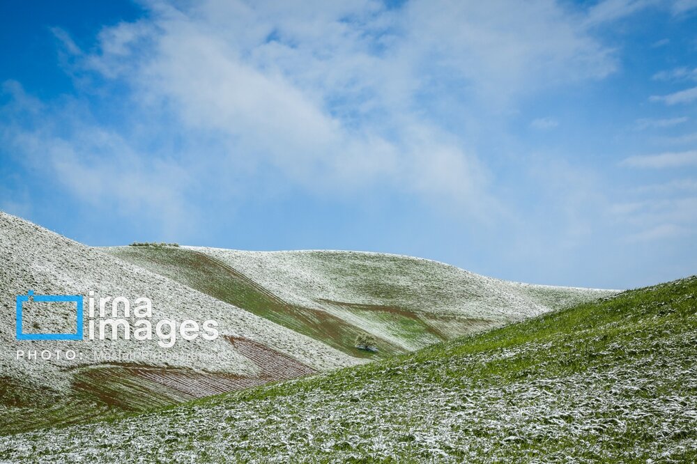بارش برف عجیب بهاری در کردستان + گزارش تصویری