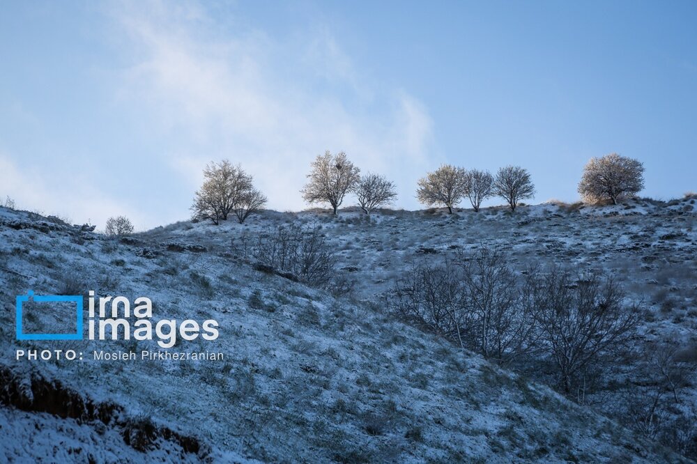 بارش برف عجیب بهاری در کردستان + گزارش تصویری