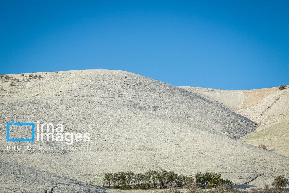 بارش برف عجیب بهاری در کردستان + گزارش تصویری