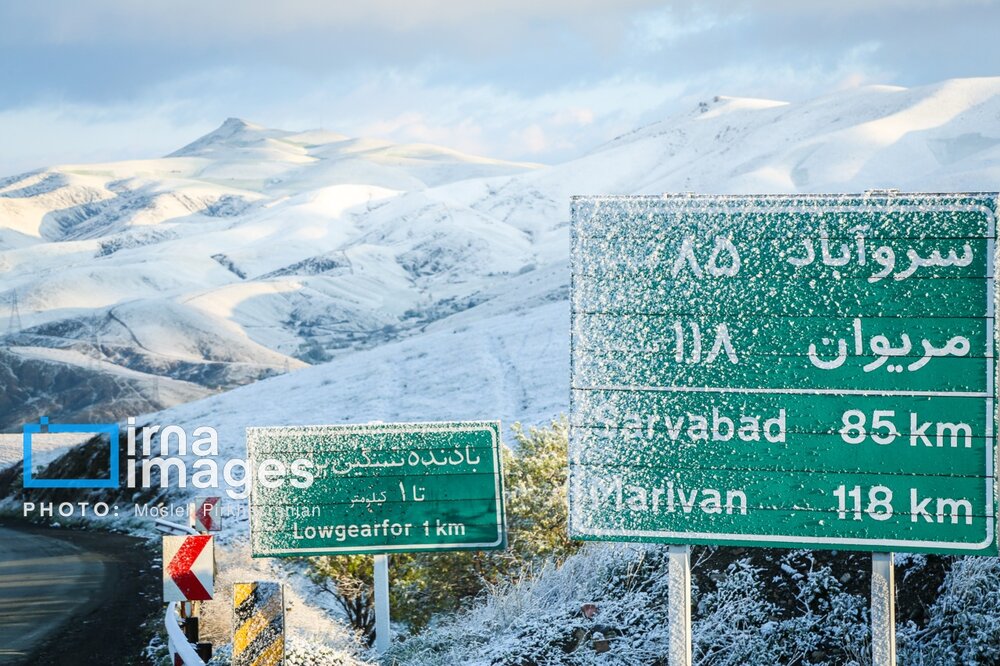 بارش برف عجیب بهاری در کردستان + گزارش تصویری