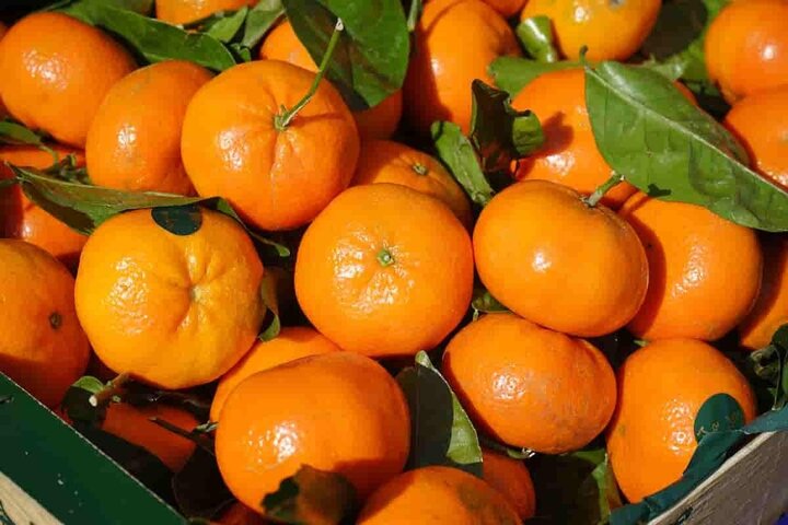 با خوردن این میوه استخوان‌های خود را تقویت کنید!