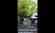 تصاویری از برخورد اتوبوس در تبریز با چند خودرو / فیلم