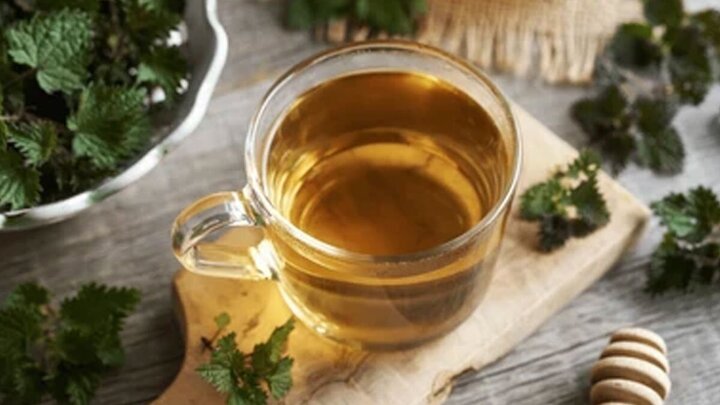 خواص بی نظیر گزنه برای سلامت بدن