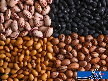 کمبود و گرانی قیمت حبوبات، گوشت و روغن در بازار