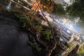 تعداد جان باختگان طوفان تهران به ۲ نفر رسید