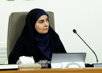 واکنش سخنگوی دولت به طرح استیضاح وزیر راه در مجلس