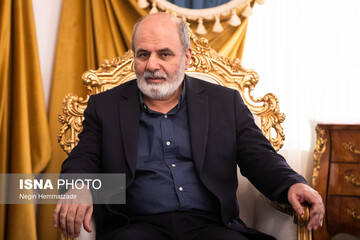 احمدیان: ایران از حق استفاده صلح‌آمیز از انرژی اتمی نخواهد گذشت