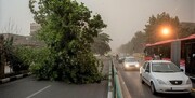 ویدئو آخرالزمانی از طوفان وحشتناک در جنوب تهران