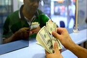 دلار چند شد؟ + جدیدترین قیمت دلار و یورو امروز سه‌شنبه ۱۶ اردیبهشت ۱۴۰۴