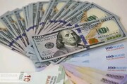 دلار چند شد؟ + جدیدترین قیمت دلار و یورو امروز دوشنبه ۲۲ اردیبهشت ۱۴۰۴