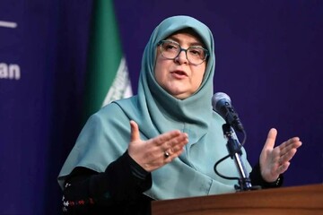 سخنگوی دولت: هیچ مشکلی با سرمایه‌گذاری آمریکا در ایران نداریم