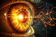 پیشگیری از نابینایی با مصرف این ویتامین