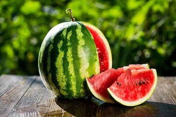 اولین واکنش ایران به ادعای نماینده دومای روسیه درباره وجود بیش از حد مجاز نیترات در هندوانه ایرانی