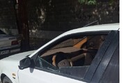 ربوده شدن یک روحانی در ایرانشهر /ماجرا چه بود؟