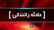 مصدوم نه نفر درپی واژگونی ماشین در محور داراب