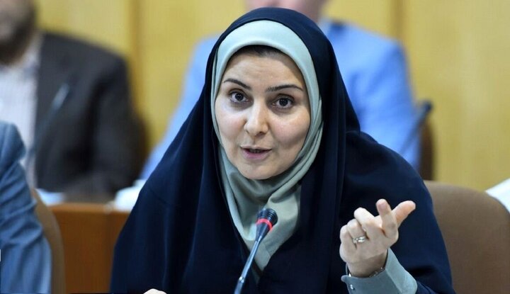 نماینده مجلس: استیضاح خانم وزیر را بیش از ۵۰ نفر امضا کرده‌اند