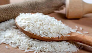 قیمت برنج ایرانی دو برابر شد/ هر کیلو برنج به مرز ۲۵۰ هزار تومان رسید