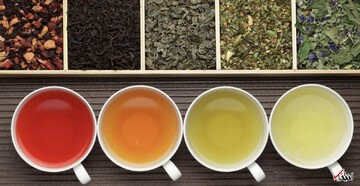 فواید و مضرات چای‌ برای سلامت کبد