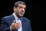 ضرغامی: شورای نگهبان باعث انفعال مجلس است