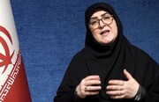 تشکیل چهار کمیته امنیتی در دولت / فیلم
