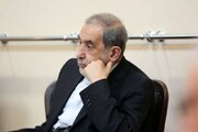 ولایتی: هر کس به آمریکا کمک کند هدف مشروع ماست