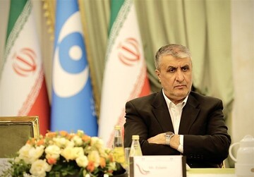 محمد اسلامی خواستار رسیدگی به اقدام خلاف قوانین بین‌المللی آمریکا در حمله به تاسیسات هسته‌ای کشور شد